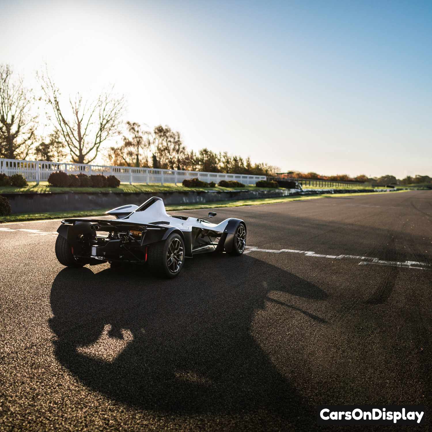 BAC Mono R