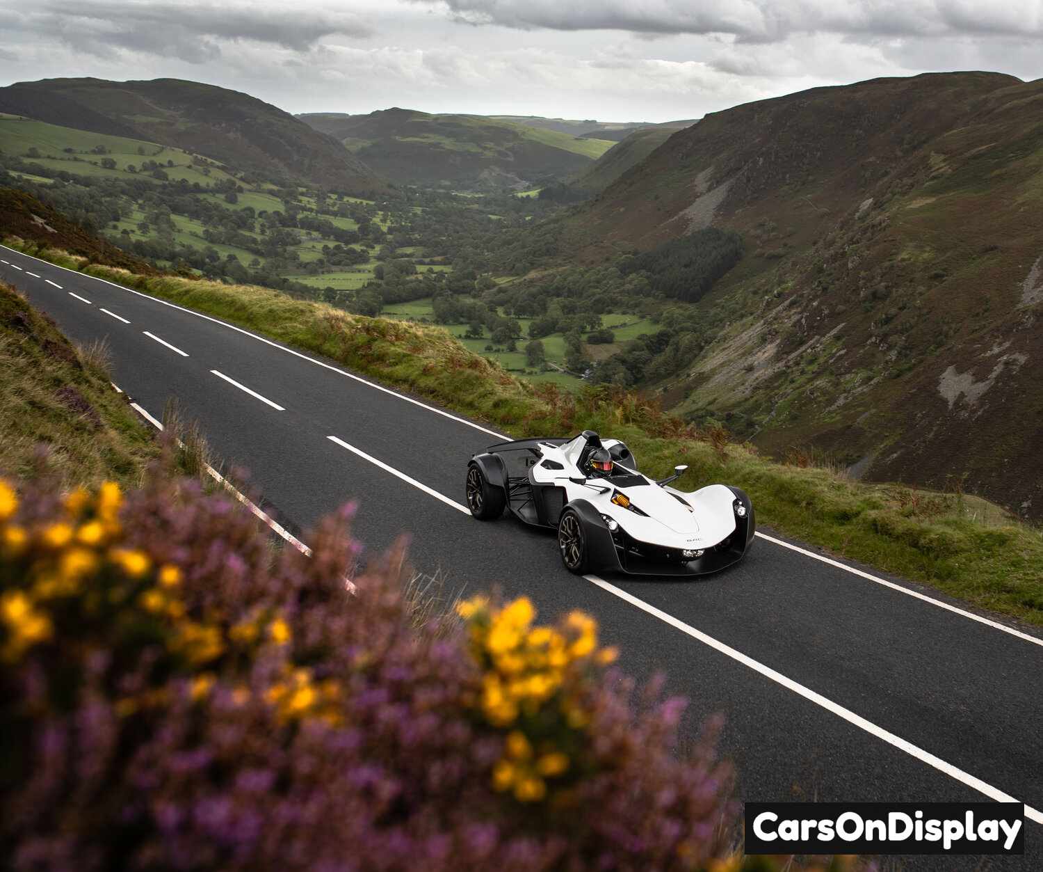 BAC Mono R